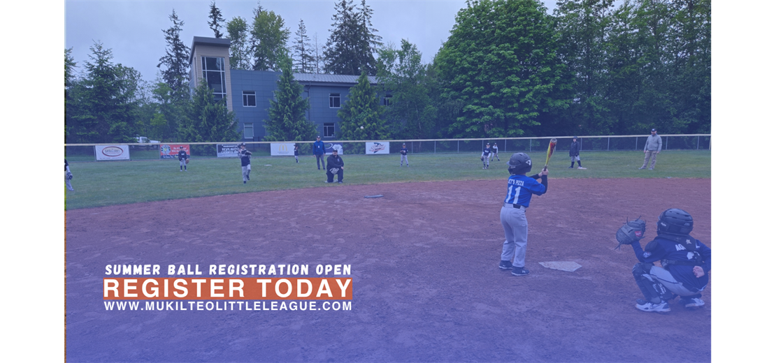 Register for Summer Ball!