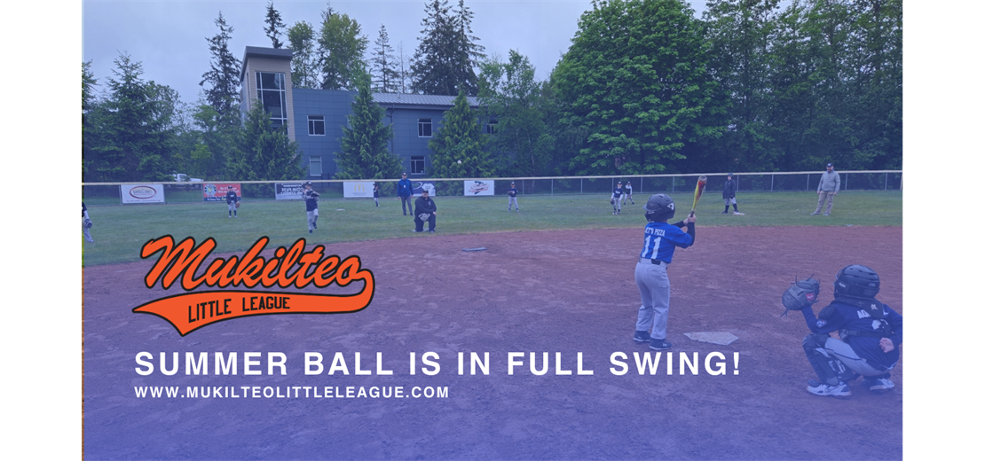 Summer Ball is in Full Swing! 